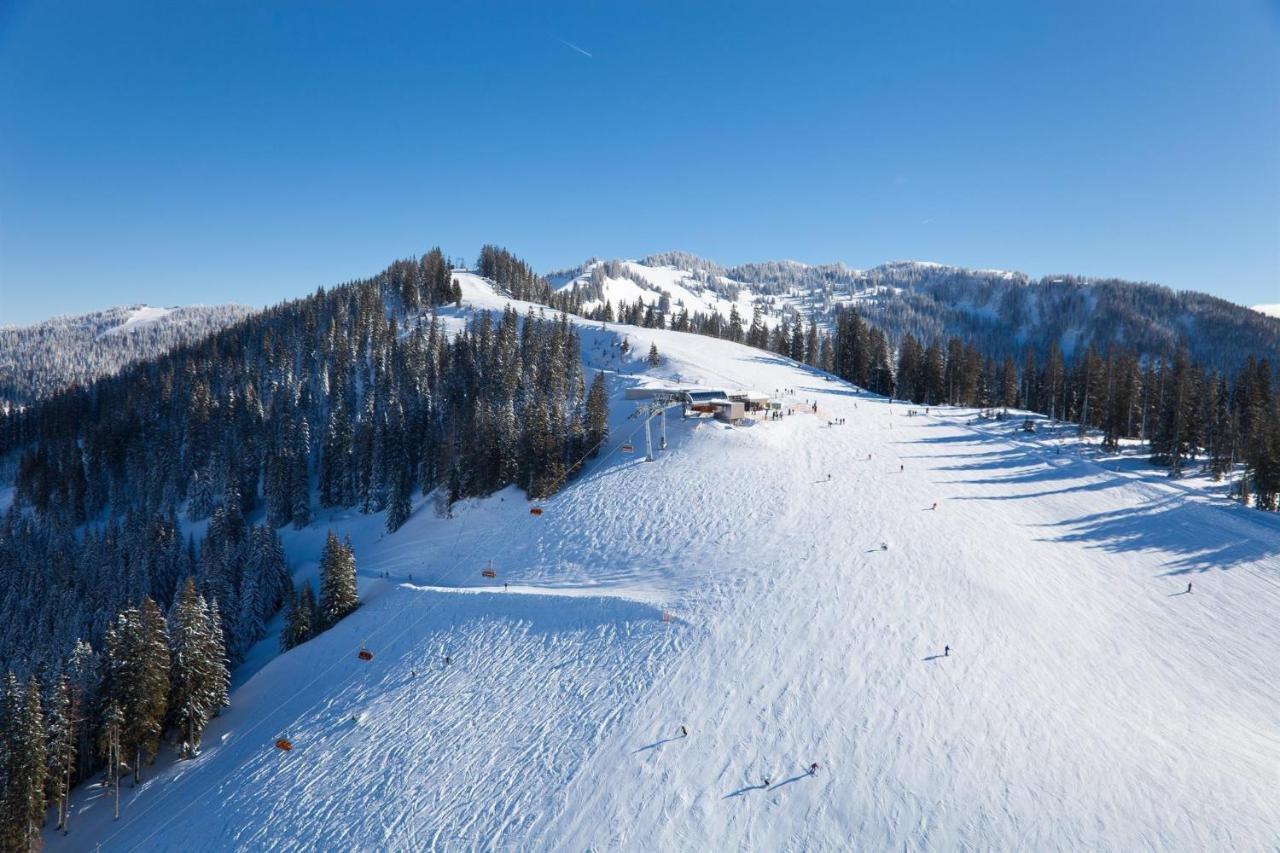 Leni'S Mountain Appartements Дінтен-ам-Гохкеніг Екстер'єр фото